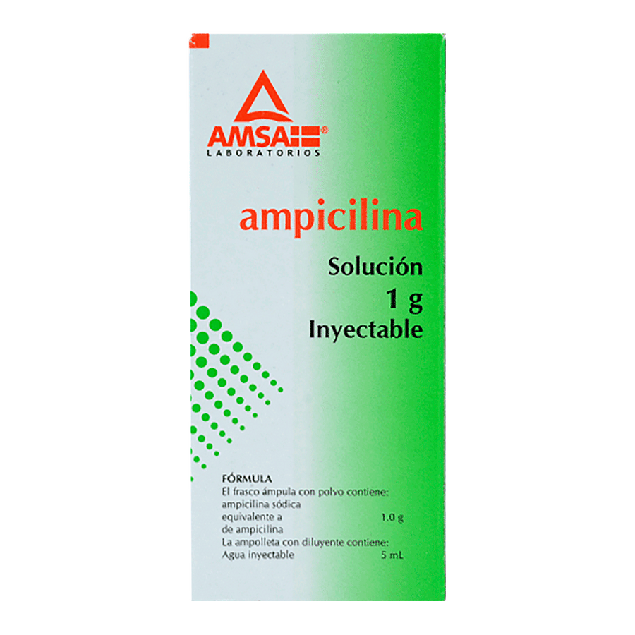 AMPICILINA 1G/5ML SOL 1AMP